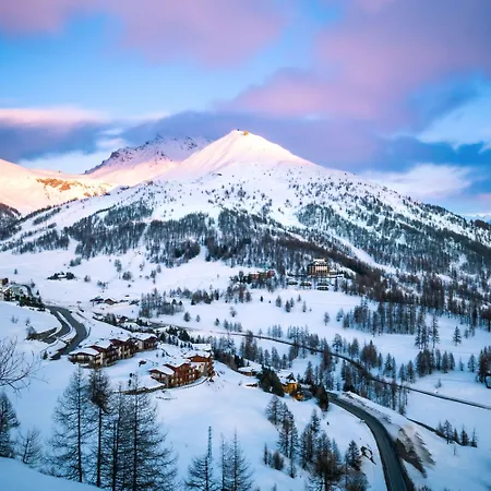 La Stella Alpina - Happy Daire *